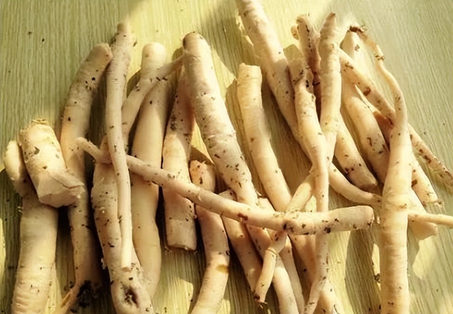 白芍的神奇功效秘方,每天学一味中药白芍