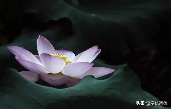 百年虚云法师电视剧20集,虚云老和尚讲佛法的真实感悟