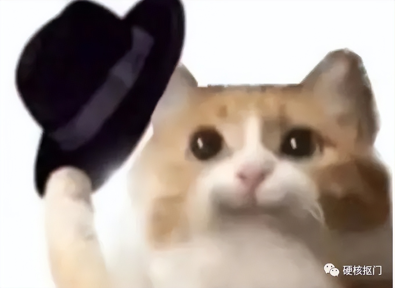 网购神器,衣柜收纳篮搜什么关键词便宜