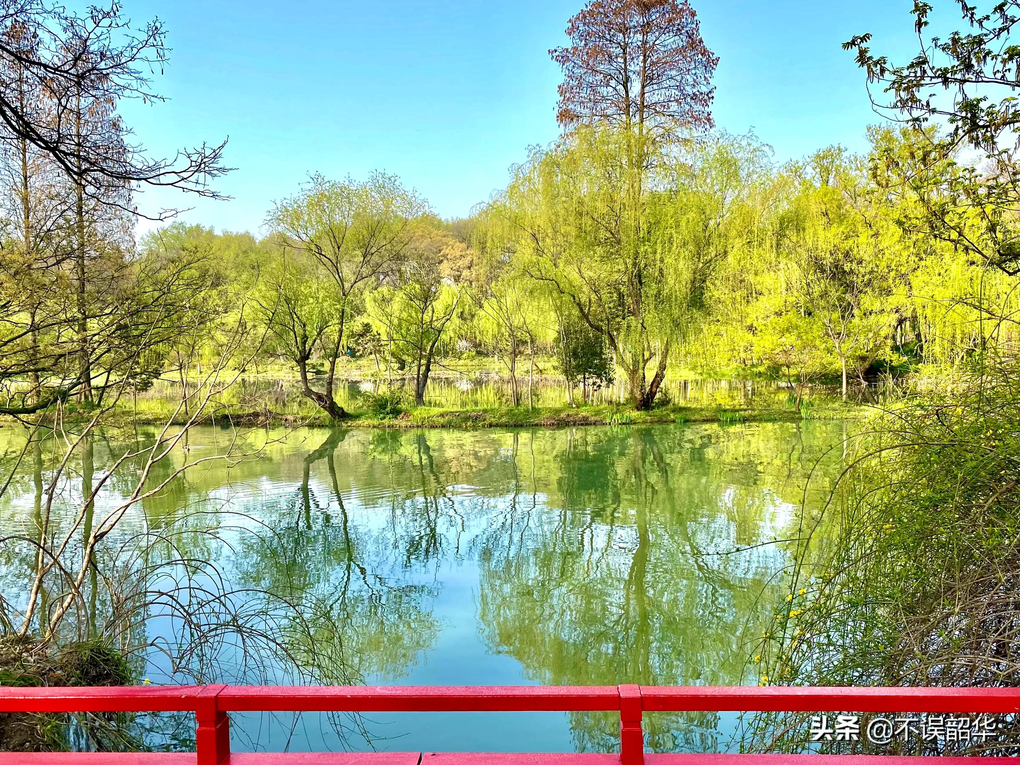 说着话说不上去了怎么回事,说着一些不着边际的话