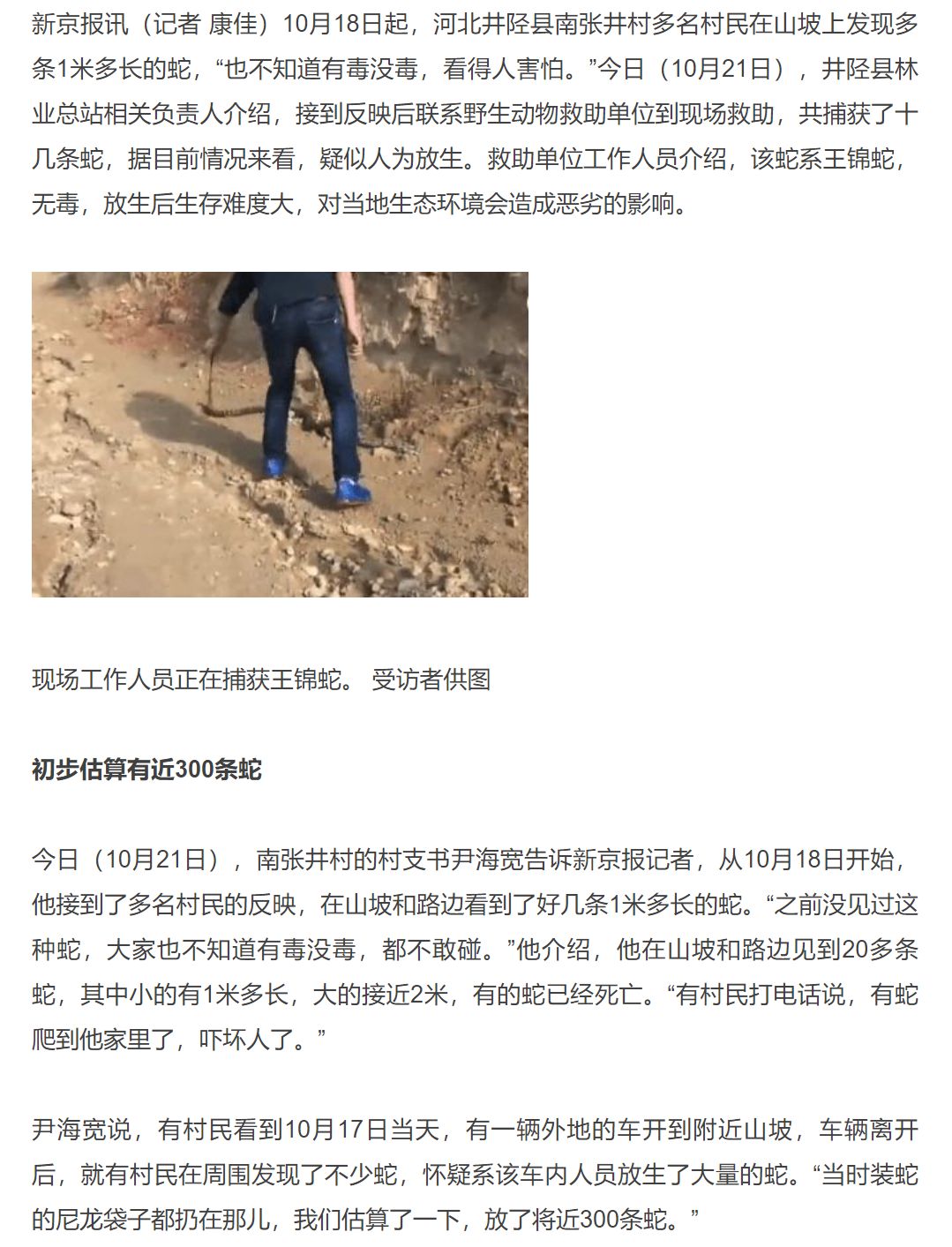 放生矿泉水疑似为求福,佛教徒放生矿泉水