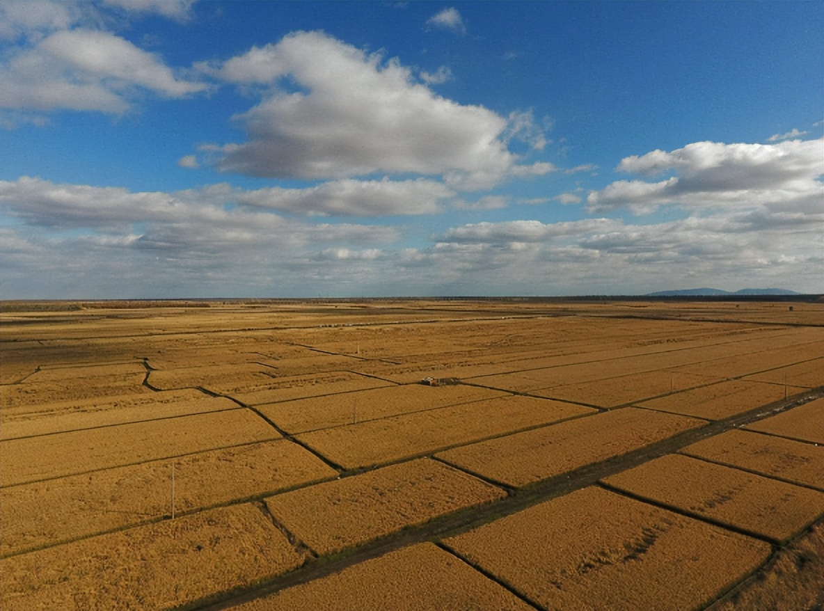 北大荒垦荒什么时候开始的,北大荒退耕还荒原因