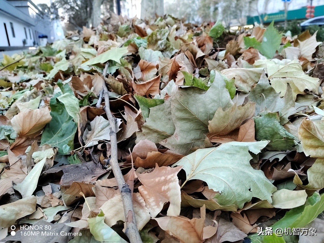 荣耀80全系续航,荣耀80的所有功能讲解