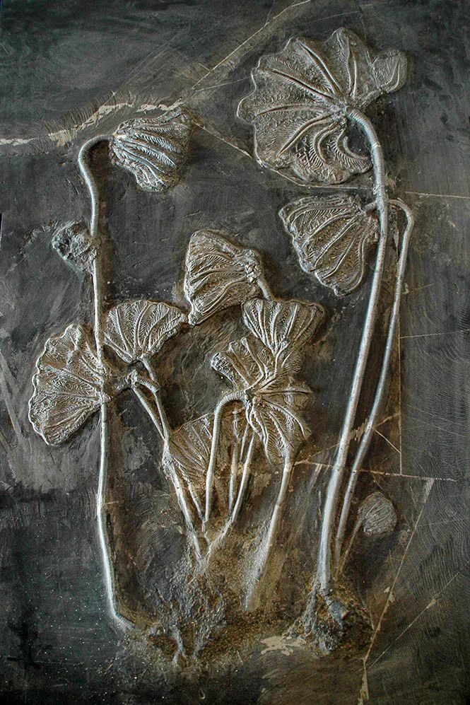 如何看懂中国第一山地省的多彩文化史诗？