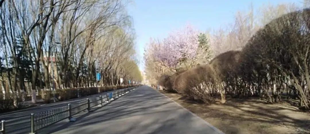 原创|2022迟到的春天之约