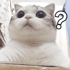 “要瘦”还是“要寿”？小心“网红*肥药减**”的毒陷阱！