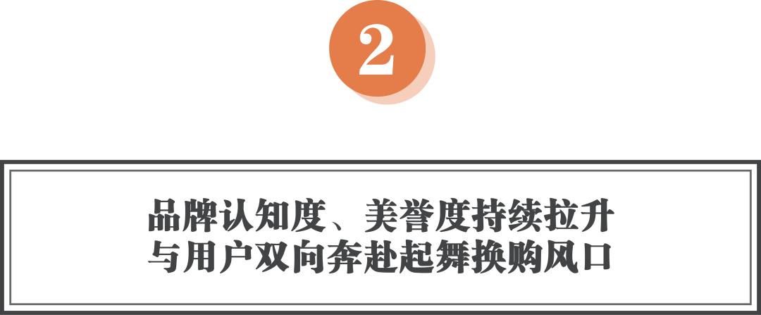 爱玛科技一季度报,爱玛科技财报分析