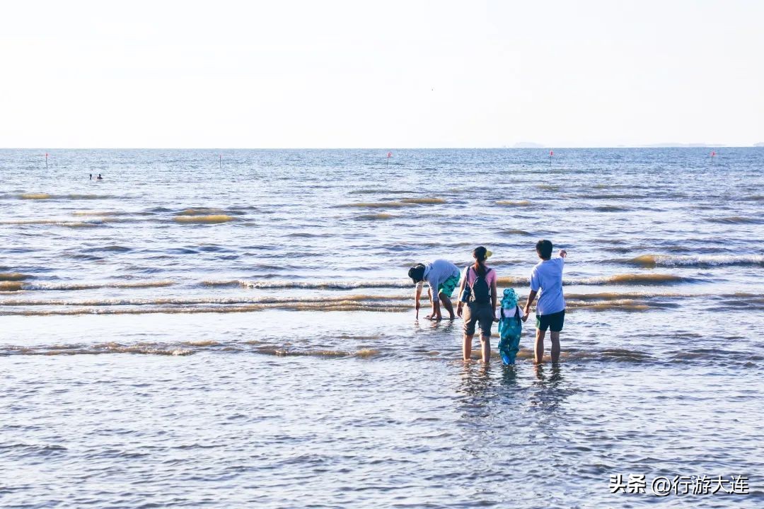 大连最全的赶海攻略,良心推荐大连赶海全攻略