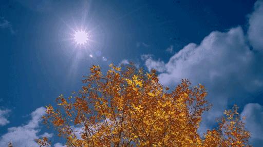 羽绒被暴晒会长虫子吗,羽绒被暴晒还有味道吗