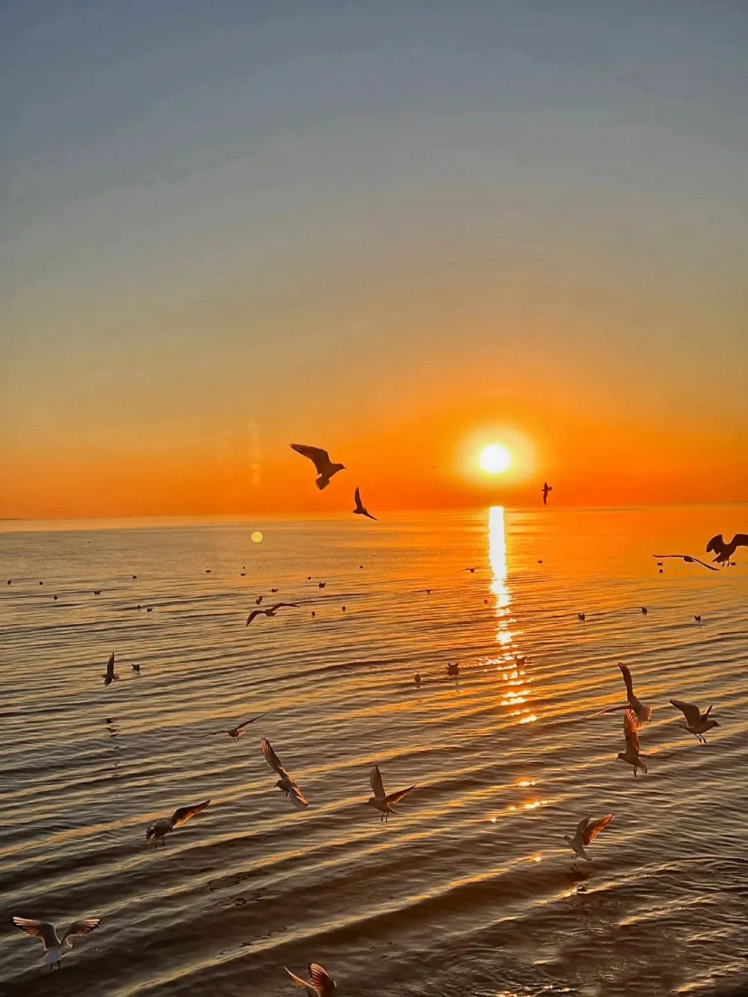 天津最好露营地推荐,天津南堤露营地推荐过夜