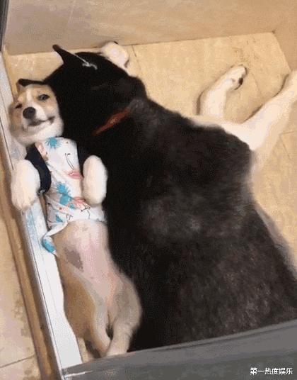 “我再也不想跟老公一块睡了”网友:我出50块,把床铺大点哈哈哈