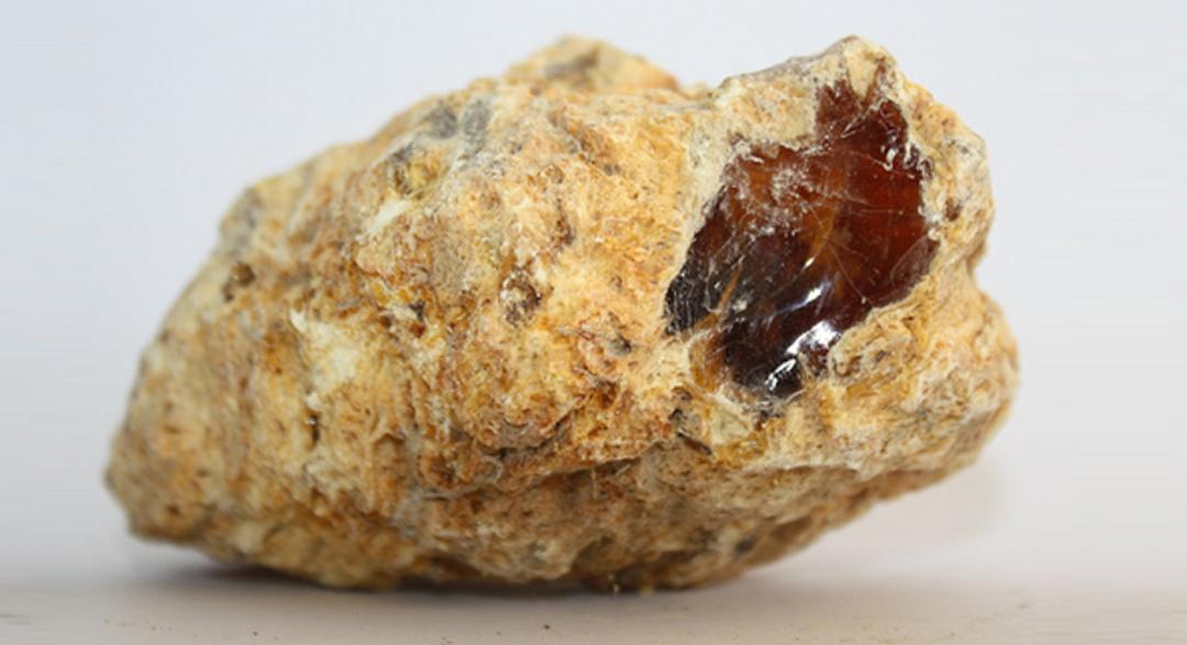 抹香鲸的粪便堪比黄金 (抹香鲸的排泄物真的是便便吗)