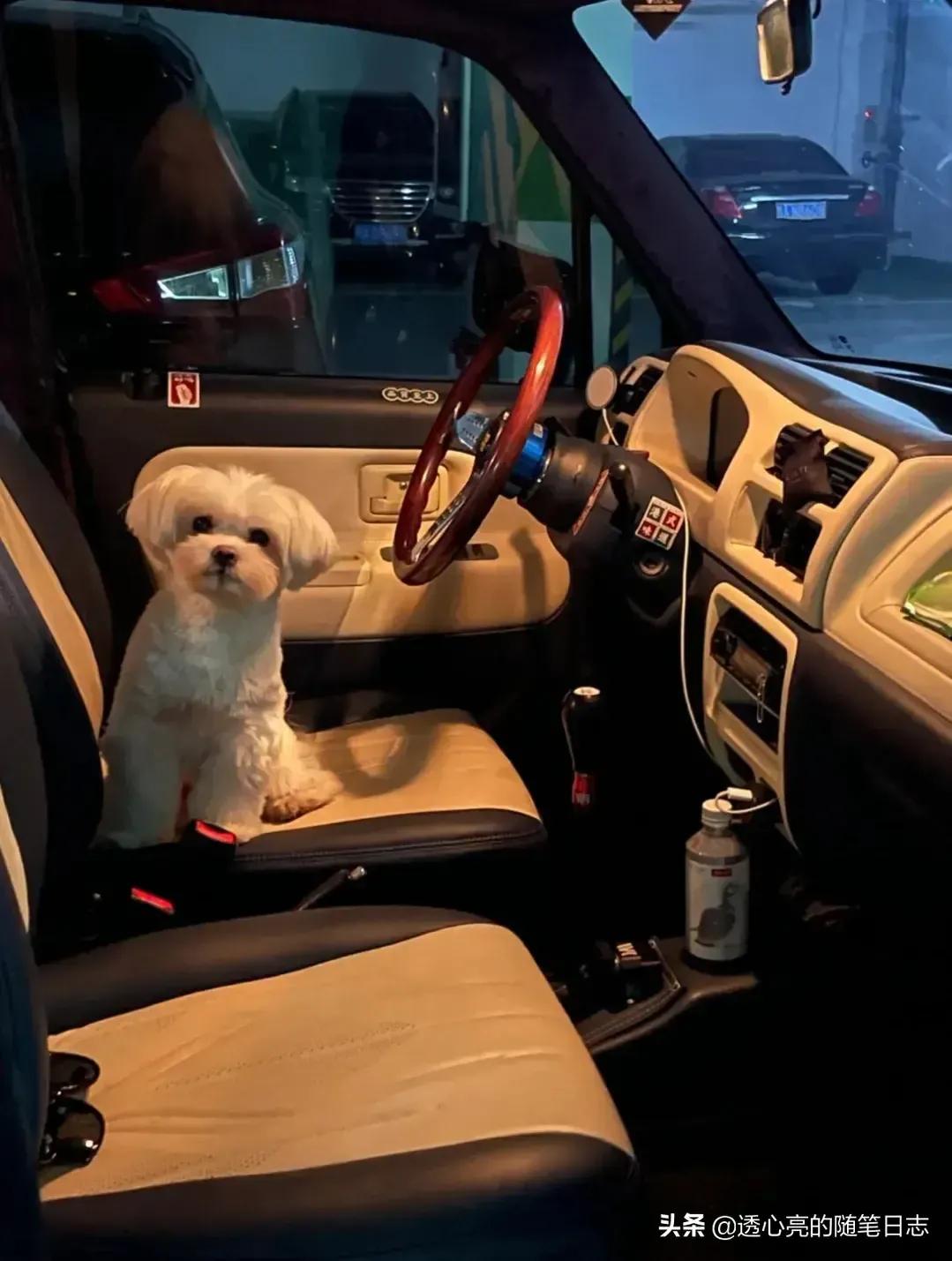 昌河铃木北斗星改装视频,北斗星kcar改装案例