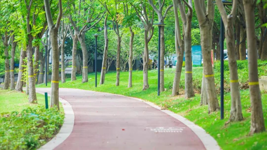 极美汤山,这些绝美的健身步道