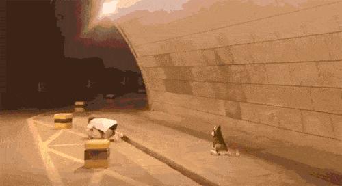 和女网友奔现靠谱吗,被女网友骗了钱怎么办