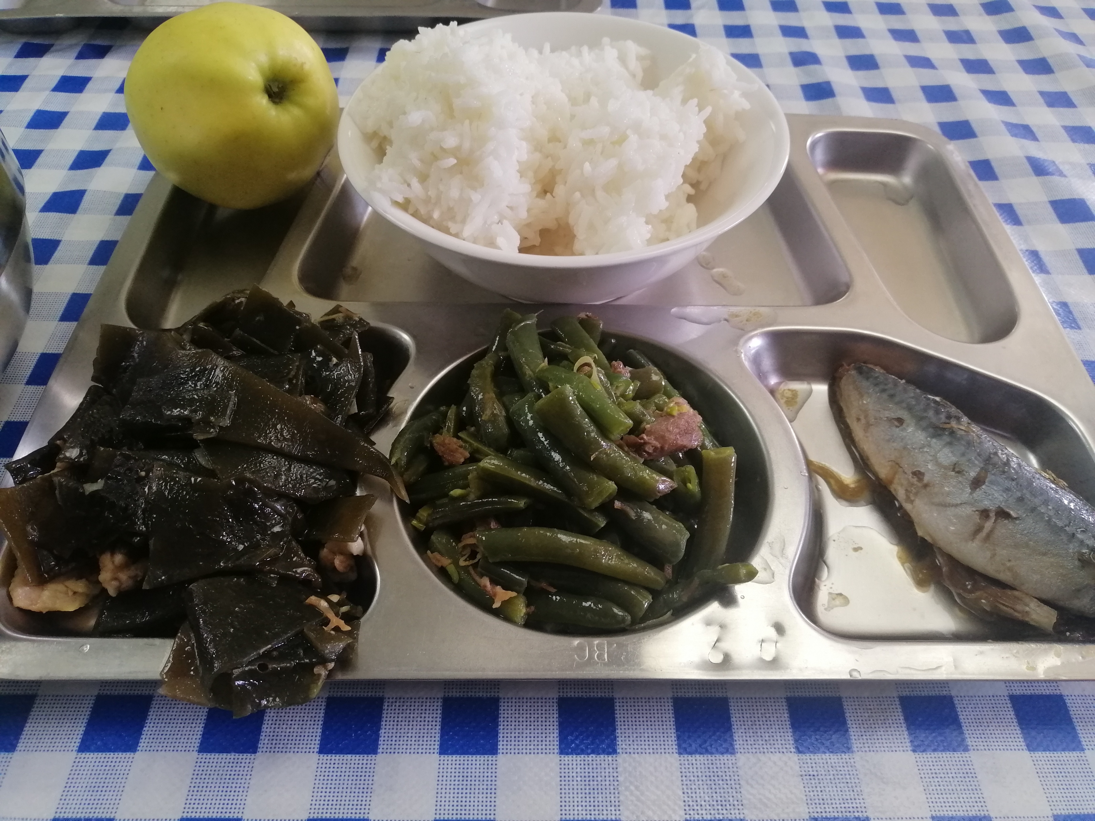 普证机工航海日记（两百八十二）