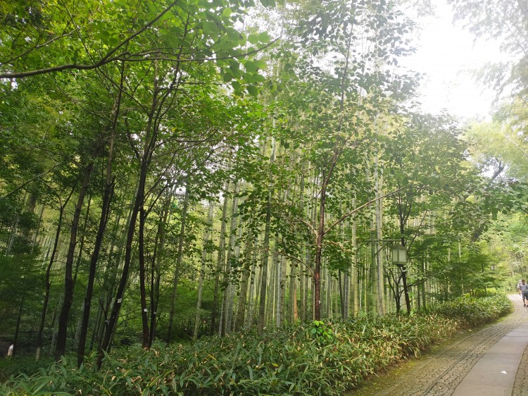 杭州西湖十景和新西湖十景,杭州西湖十景详解