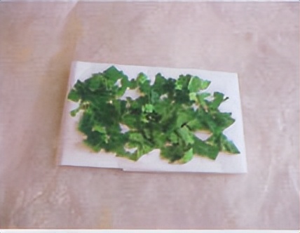 飞蚁防治小妙招,收获蚁怎样保产