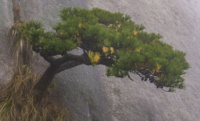 打卡安庆古城,安庆旅游和美食