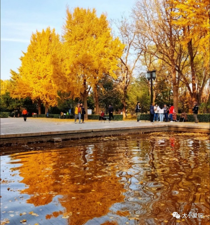 京城赏秋打卡胜地,北京赏秋小众景区
