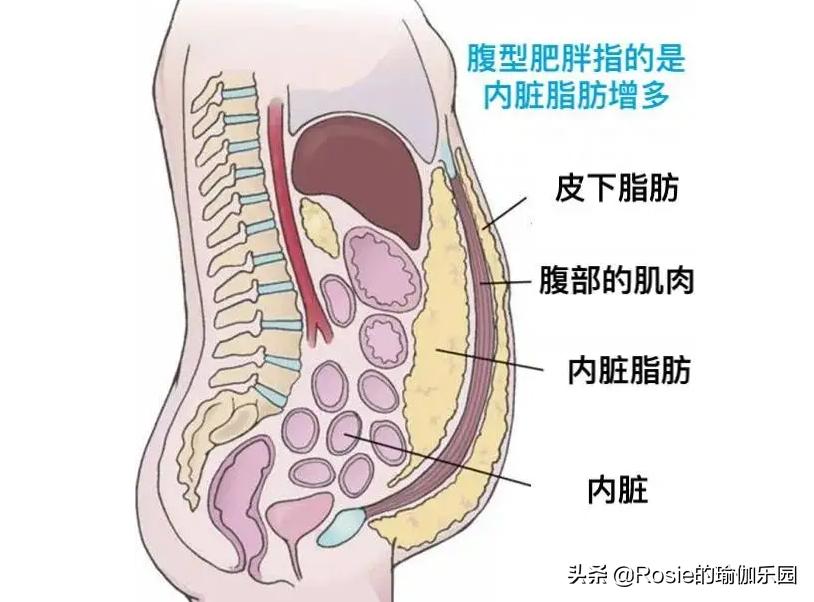 宋慧乔齐肩锁骨发,宋慧乔美肩纤背