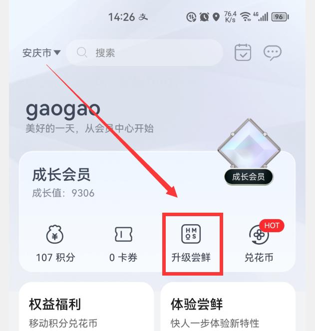 华为手机升级鸿蒙3.0后屏幕失灵,华为手机升级鸿蒙3.0全过程