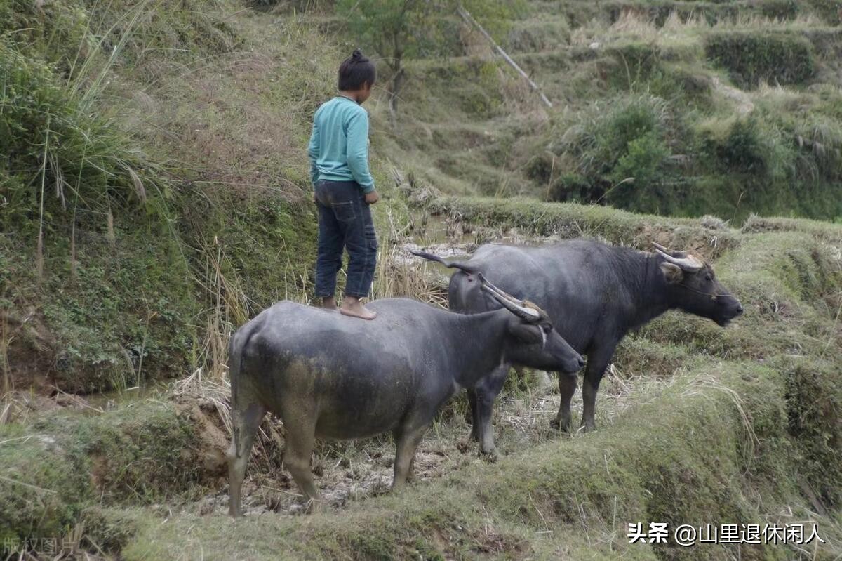 五一去趟儿子家，发现我的门锁指纹识别被删除了，逃离后我悟到了