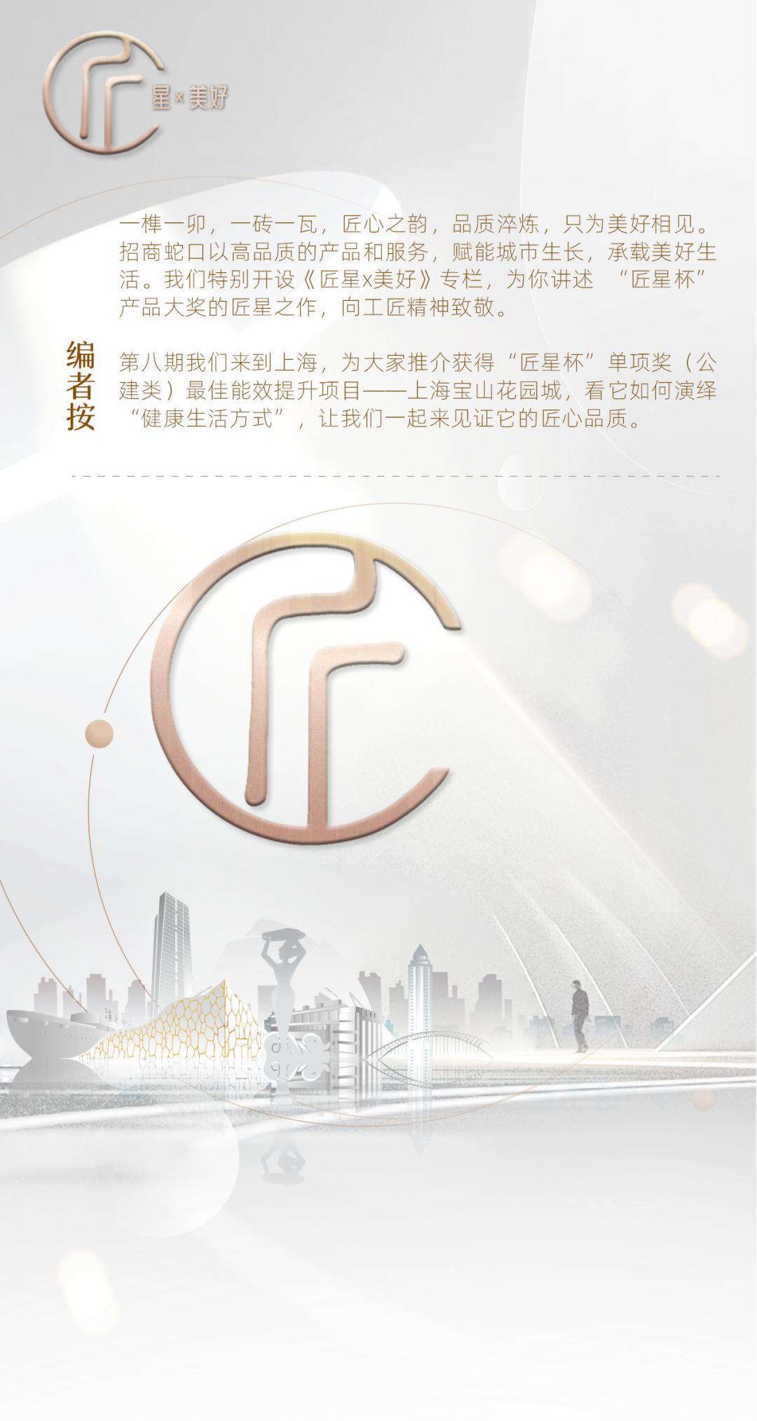 上海宝山龙湖天街购物中心,上海宝山花园城商场