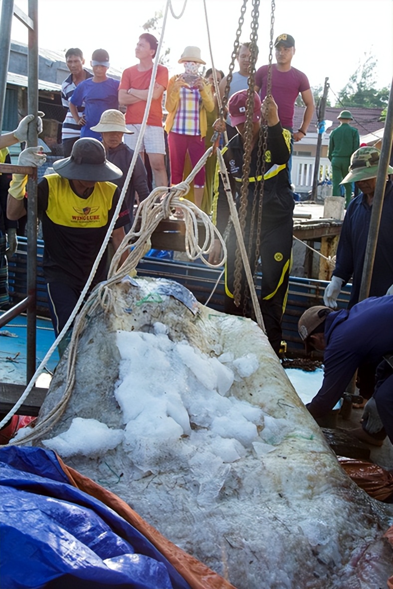 文莱市水上村在哪里,文莱水上村落名单