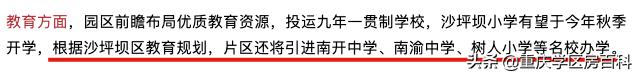 南开中学2020高考各分数段人数,南开中学2019年高考