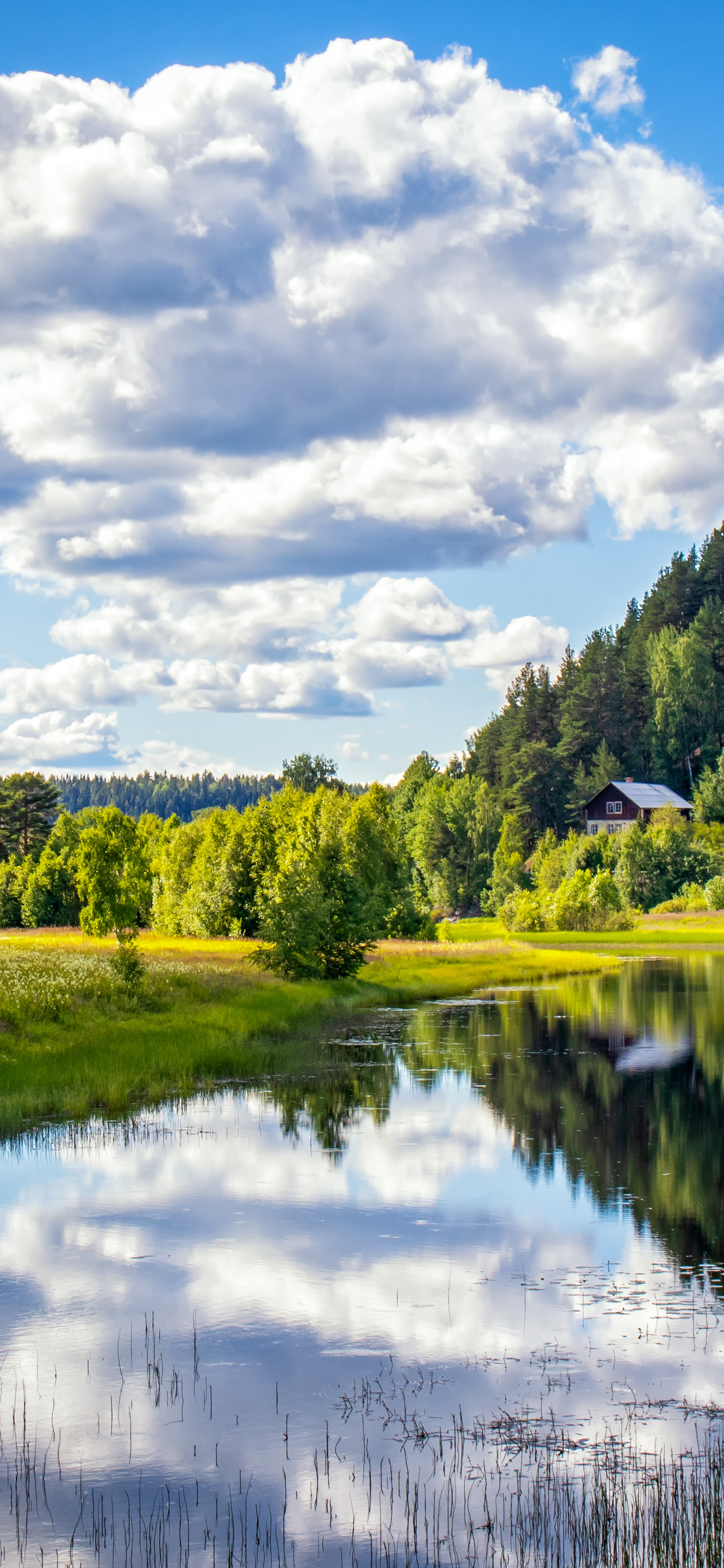 早安竖屏手机壁纸,早安图片最新手机壁纸