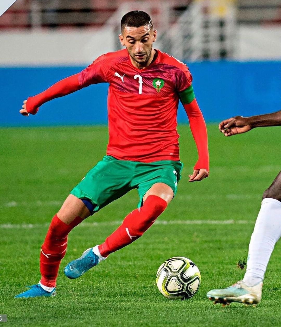 雄狮怒吼片段,雄狮吼叫穿透力