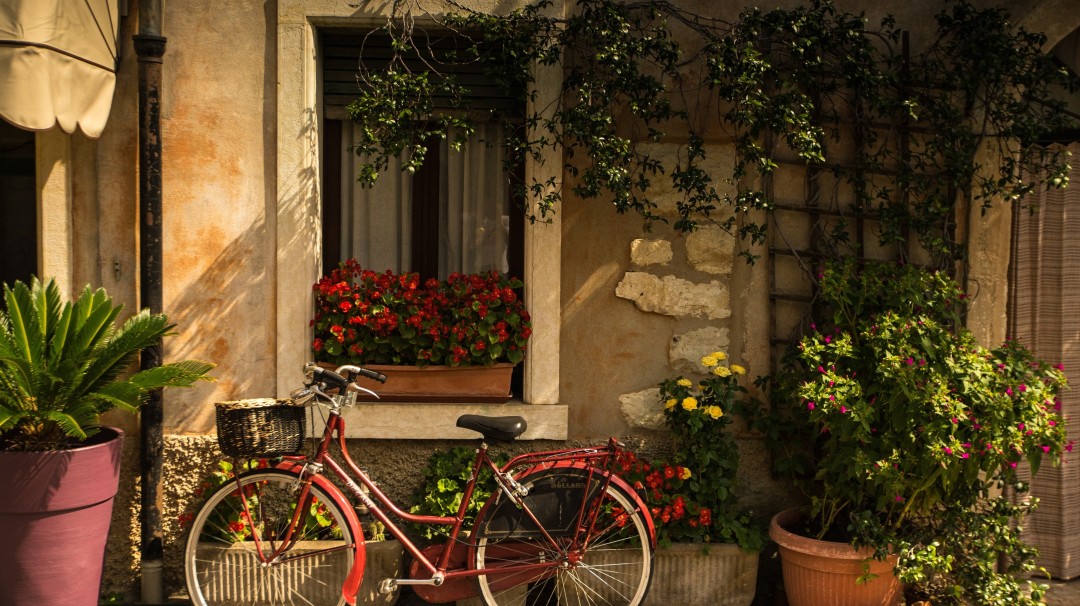 巨蟹座爱情星座,巨蟹座爱情观不同