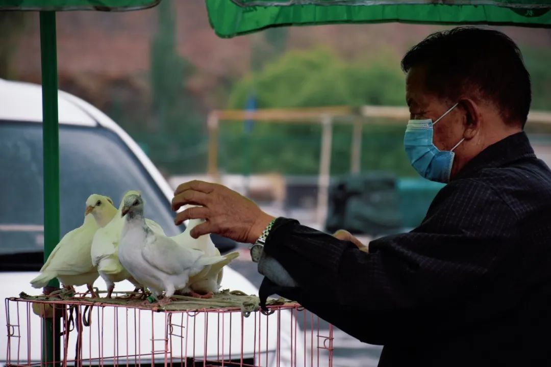 国内最chill的城市，我想投它一票