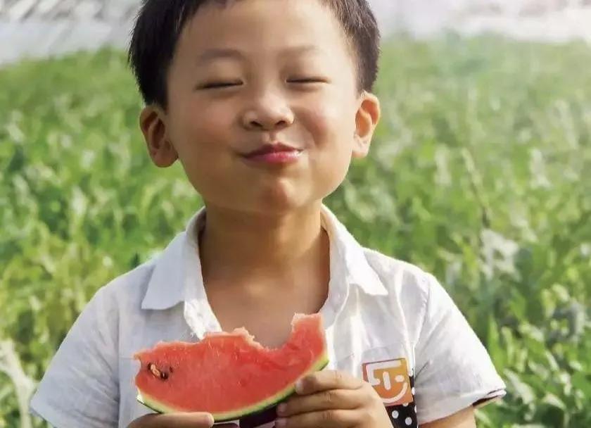 垂涎欲滴的瓜世界：瓜田李下说吃瓜，一片冰心香满园