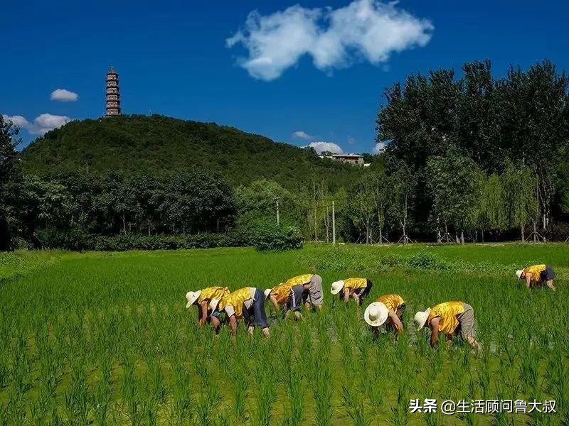 北京市的世界文化遗产有哪些,首批农业文化遗产