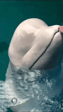 刚买的口红能不能用,刚买的口红拿出来会怎么样