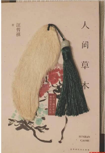 养芒果和当宠物,为什么养芒果核当宠物