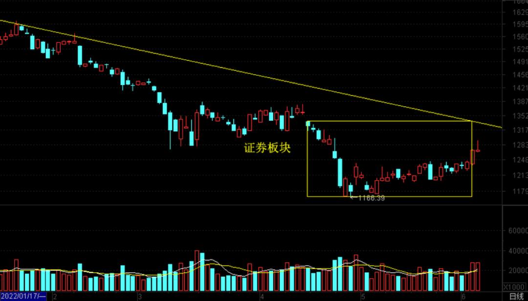 老马茶馆最新视频,老马茶室