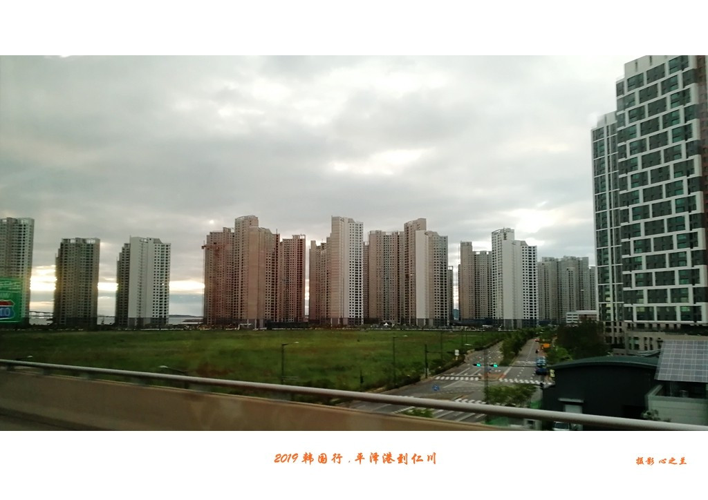 韩国行中国行,韩国行旅行团