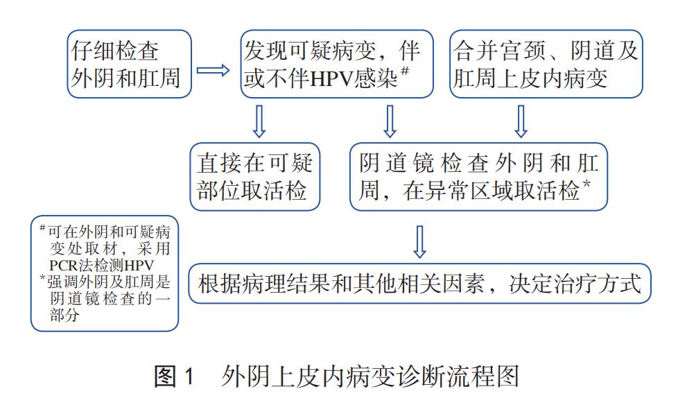 派特生物能治宫颈湿疣吗,派特灵妇科