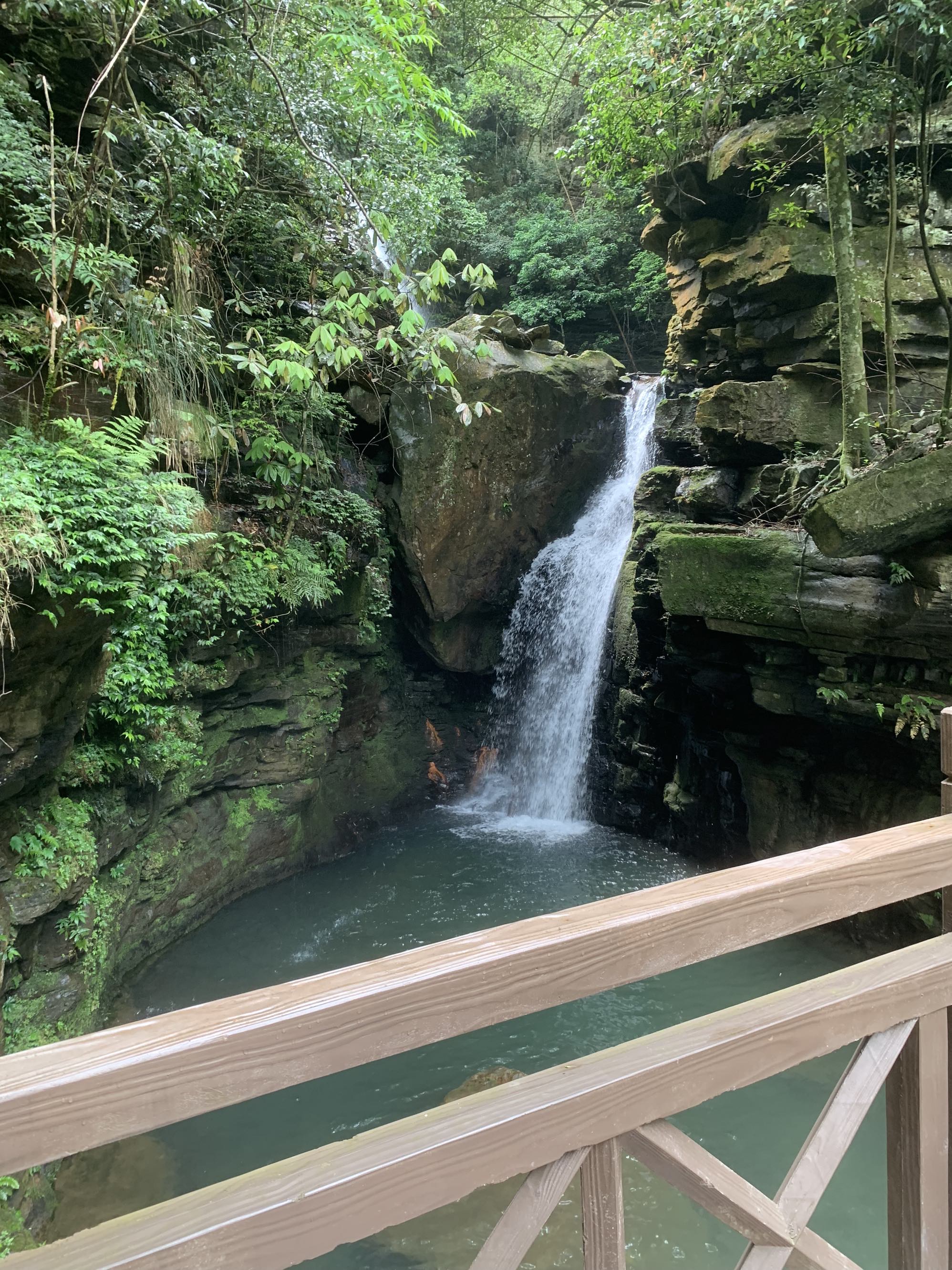 高高的紫云山,我们的青春故事曾在这里演绎