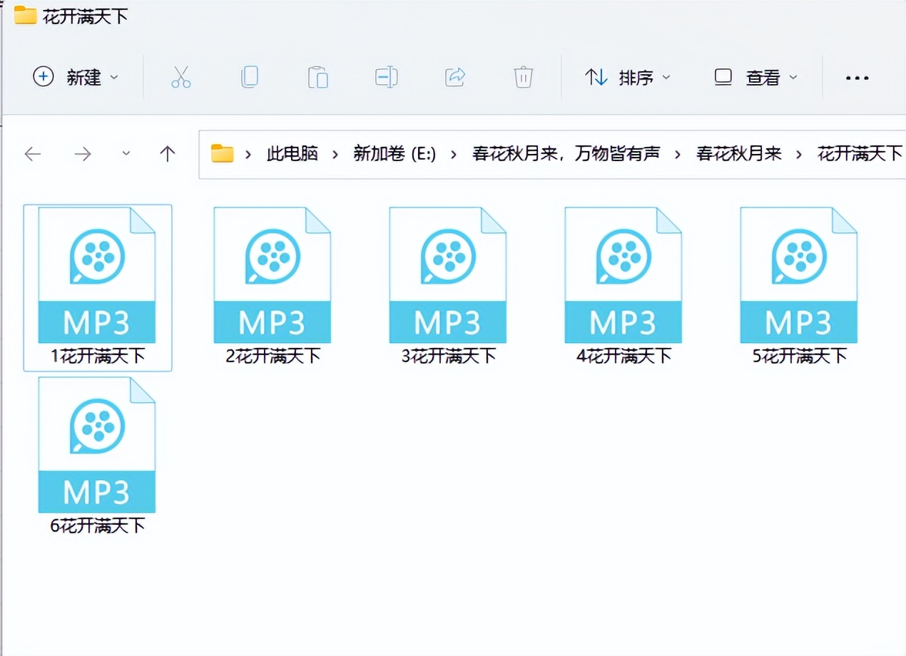 怎么对文件夹里多个文件重命名,电脑文件夹里的文件怎么重命名