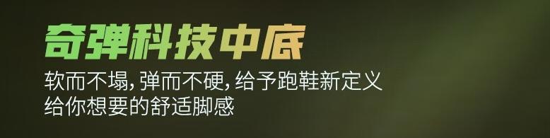 楦挎槦灏斿厠璺戦瀷绯诲垪鍒嗙被,楦挎槦灏斿厠纰虫澘璺戦瀷