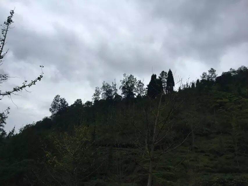 80鍚庡皬瀛︾敓姣曚笟鎵撳伐,80骞翠唬灏忓杈嶅鎵撳伐