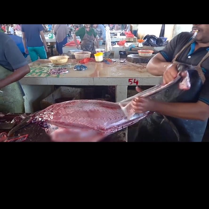 娴烽矞甯傚満楸艰揣,娴烽矞甯傚満娲婚奔鐜板