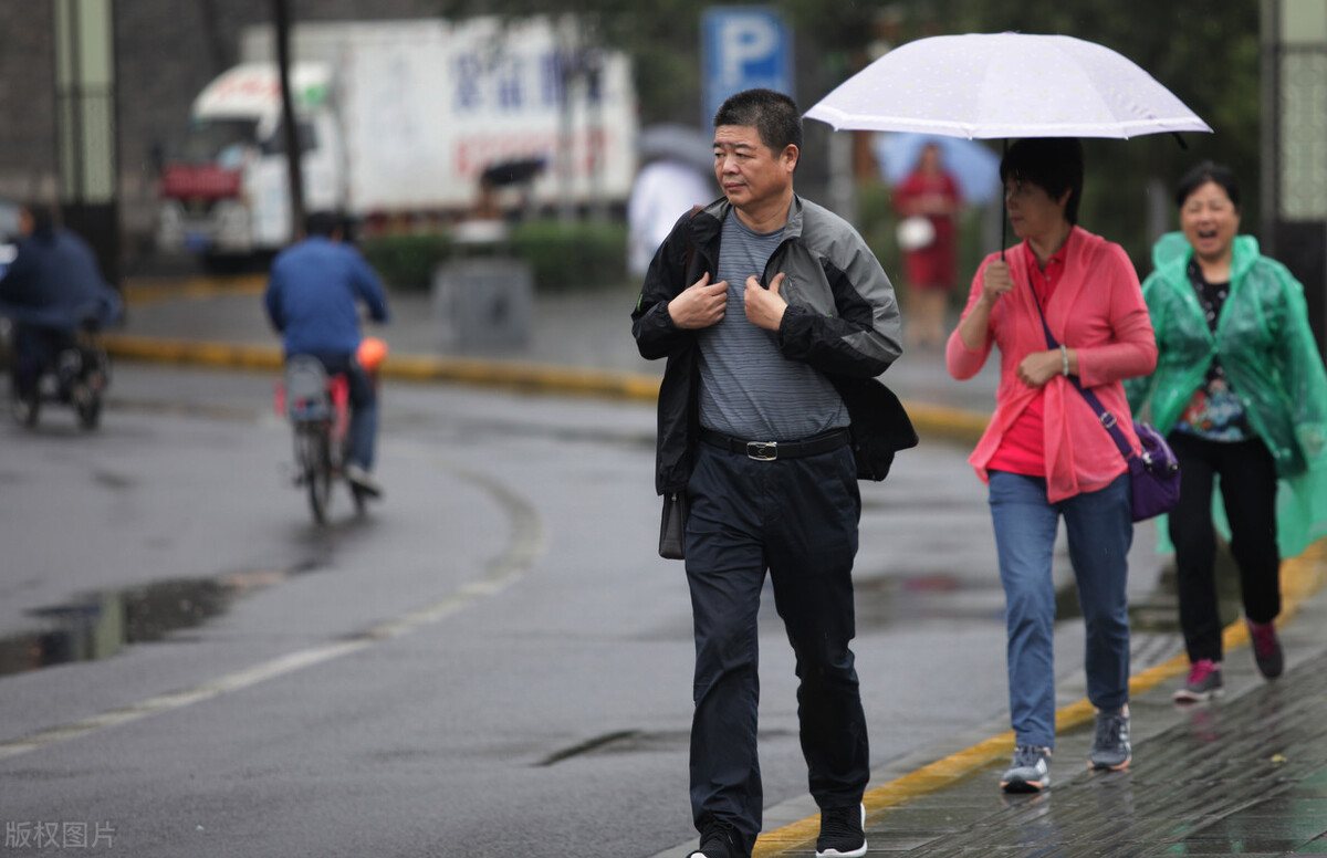春分吃这3种蔬菜最养人,春季养肝必吃的五种蔬菜