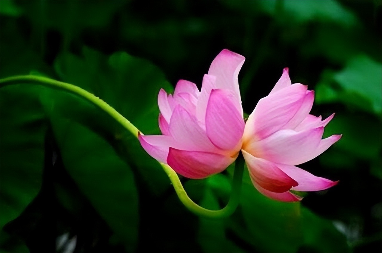 很久不联系的人一说话还是会心动,好久不联系的人突然和你说话