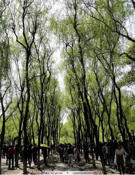 杭州好玩的地方和景点排行榜,杭州周边好玩的地方景点免费