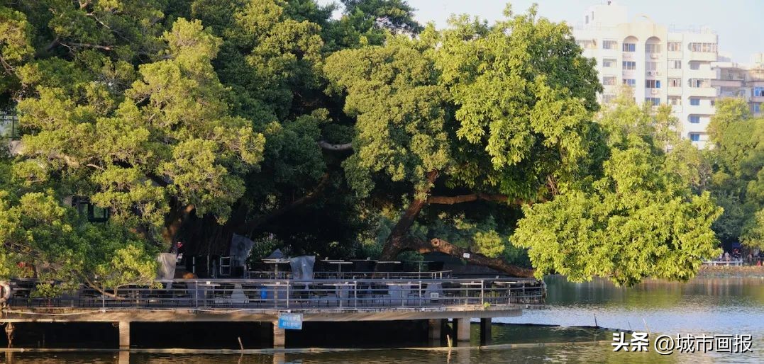 新年第一天，我去打卡一间森林里的美术馆